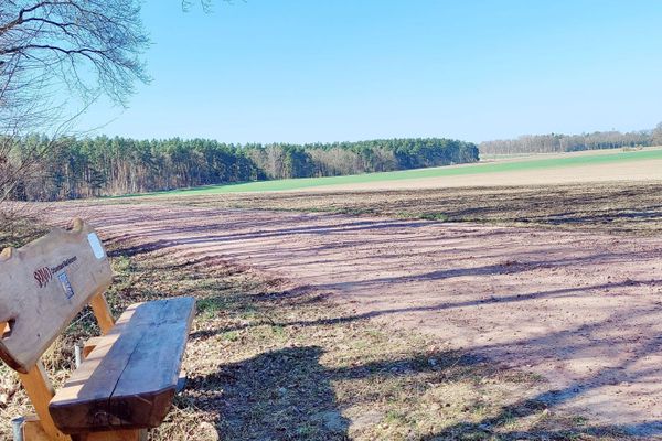 Blick vom Klosterweg bei Jelmstorf über eine weite Feldlandschaft. Am Wegesrand steht eine Holzbank mit dem Zeichen des Pilgerwegs Via Scandinavica. Der Weg wird auch von mehreren Radrouten wie dem Ilmenauradweg genutzt.