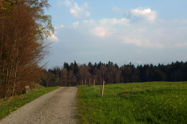 Panoramareich führt der Weg über den Schellenberg.