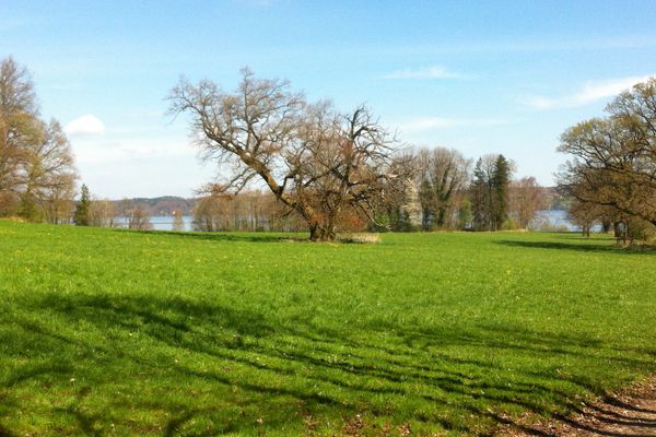 Bernrieder Parklandschaft