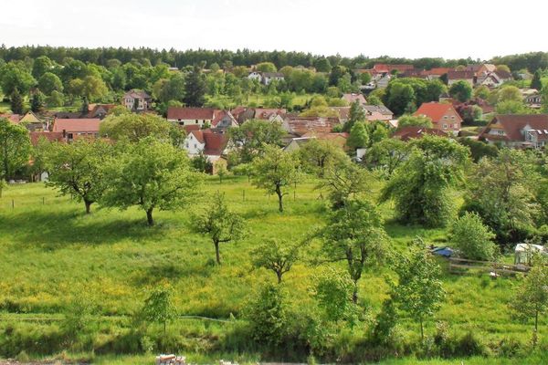 Birnbaumlandschaft Fatschenbrunn