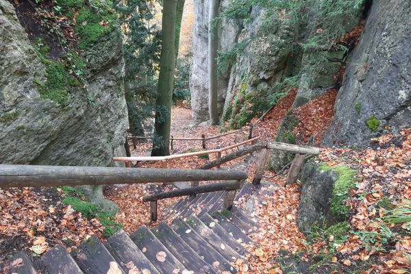 Gößweinstein – Spaziergang durch den Eibenwald
