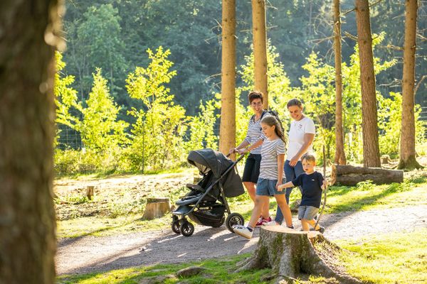 Bild des Datensatzes Kinderprogramm: Sommerfest im Wild- und Wanderpark
