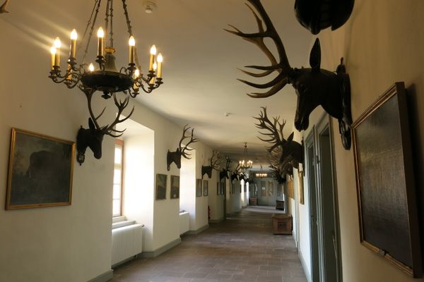 jagdschloss_kranichstein_museum_darmstadt-marketing