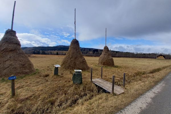Strahdrischen - Heuhocken