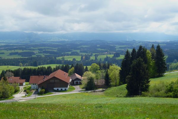 Oberhalb von Sennhof ein herrlicher Blick über das Alpenvorland zu den Ammergauer und Allgäuer Alpen.