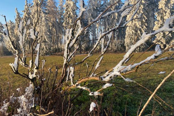 Winterimpressionen