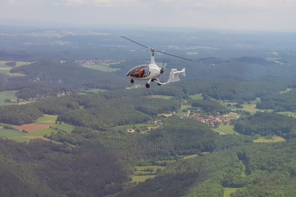 Thea in der Luft