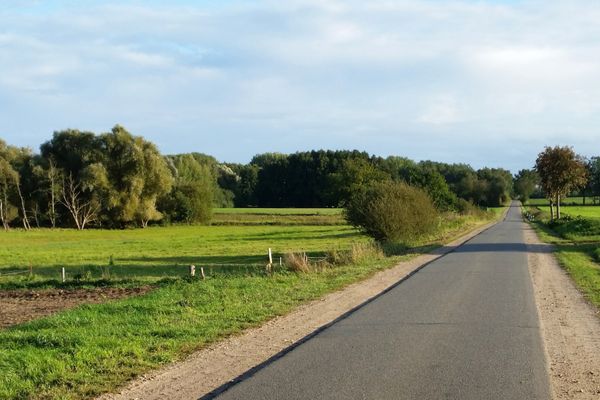 Straße durch die Wiesen und Auen bei Wieren, umgeben von grünen Wiesen, Feldern und Baumreihen.