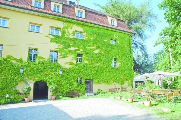 Die Außenmauer am Schloss Wiesenfelden ist teils bis zum Dach grün bewachsen. Sitzgruppen unter Sonnenschirmen laden zum Rasten ein.