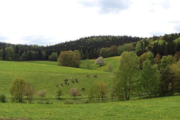 Panoramablick