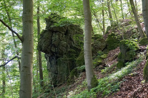 Ein großer Basaltfelsen steht haushoch im dichten Buchenwald an einem Hang. Die Form des Basaltriesens erinnert an den Kopf des Heinzemannes und heißt deshalb so.