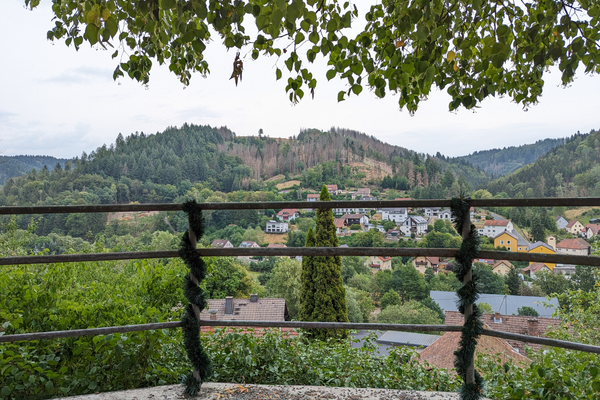 Das Bild zeigt den Blick auf den Ort Steinberg. Im Hintergrund siehr man Waldlandschaften.