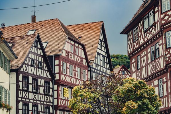 Fachwerkhäuser in Mosbach mit Baum im Vordergrund
