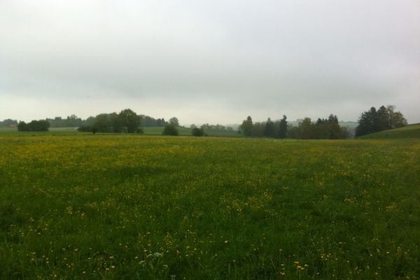 Die siebte Etappe führt durch die sanfte Hügellandschaft des Pfaffenwinkels.
