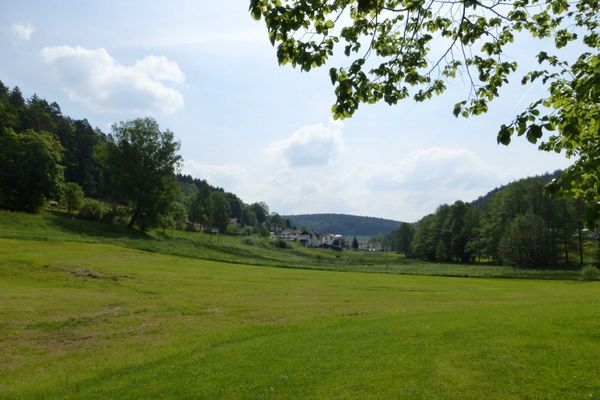 Blick auf WÃ¤lder und Wiesen