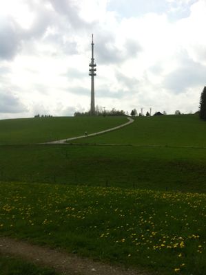 Der Betrachter blickt über eine Wiese hinweg auf den 159m hohen Fernsehturm.