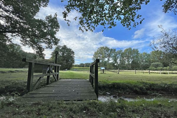 Holzbrücke zur Rieselwiese