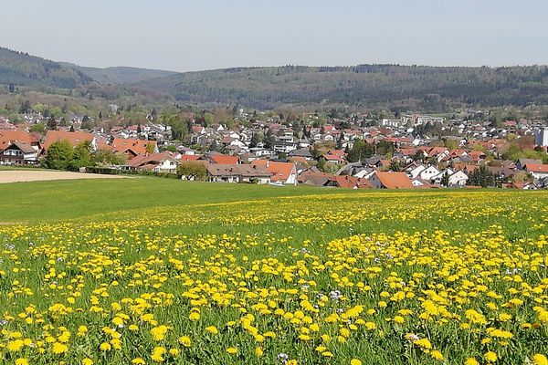 Blick auf Michelstadt
