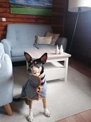 BademÃ¤ntel von XS bis XL. :)