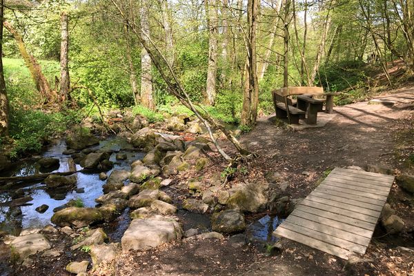 Ein natürlicher Wasserlauf, der über bemooste Basaltsteine in einem Waldgebiet läuft. Parallel dazu verläuft ein Waldweg, bei dem man zunächst einen einfachen Holzsteg überqueren muss, um dann eine hölzerne Sitzgruppe zu passieren.