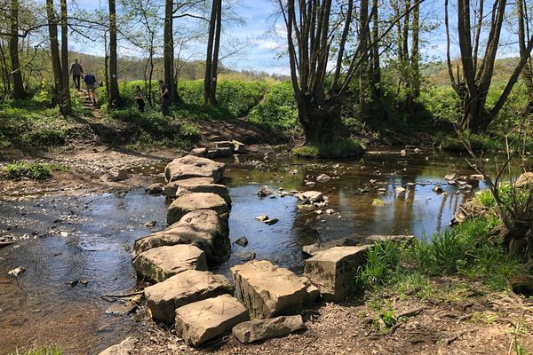 Ein Bachlauf der mit vielen Basaltsteinen durchdrungen ist und von Bäumen umstanden wird.. Die Bachquerung ist über große Schrittsteine möglich. An einem Baumstamm auf der gegenüberliegenden Uferseite ist der Wanderweg mit Markierungszeichen ausgeschildert. Eine Gruppe von vier Personen geht gerade die Uferböschung empor.