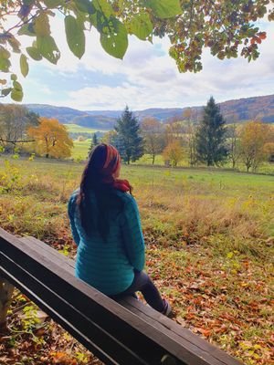 Blick ins Hammerbachtal