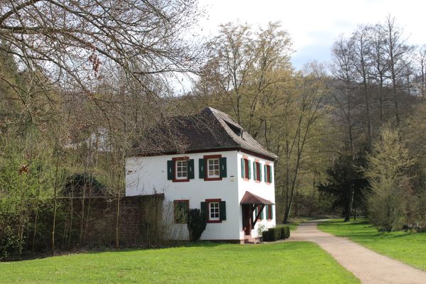 Seegarten Amorbach