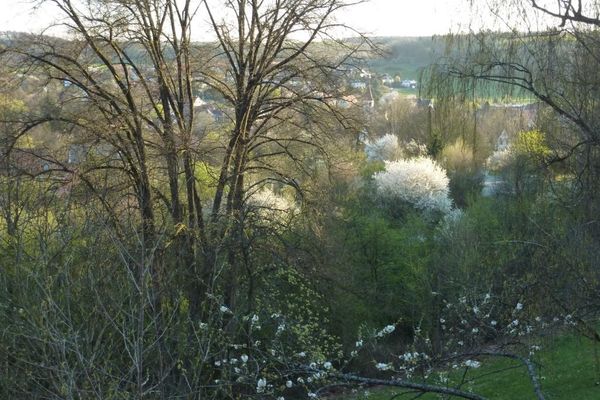 Frühling