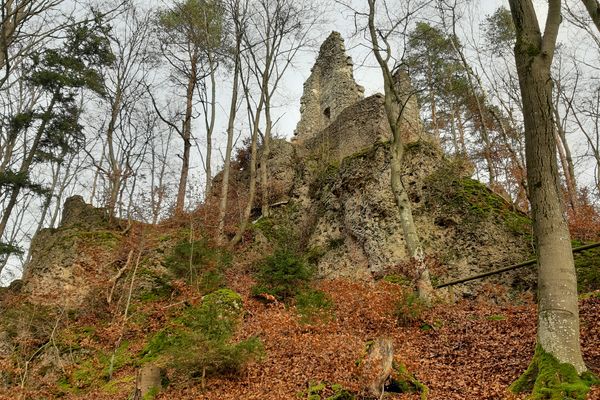 Burgruine Wildenfels