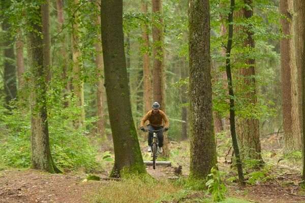 Mountainbiker mit Helm und Ausrüstung fahren auf ihrem Rad eine abgegrenzte Strecke entlang.