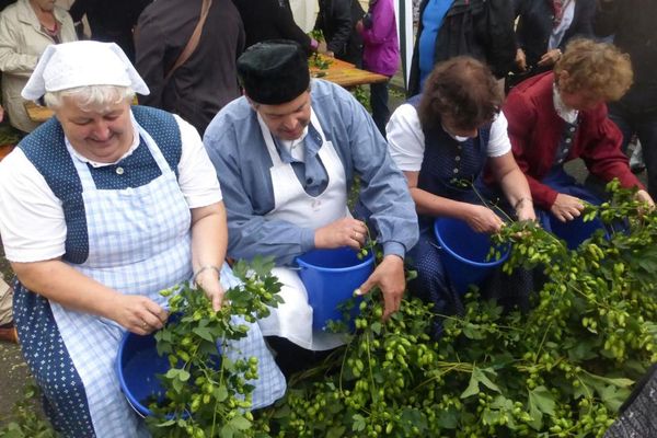 Hopfenfest in Speikern