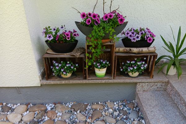Blumen