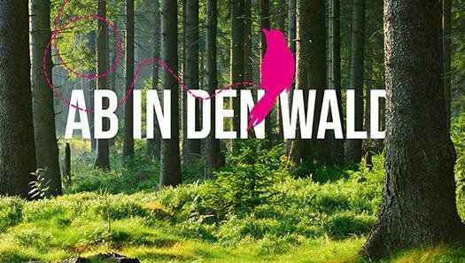 Bild des Datensatzes Familien-Fledermauswanderung zur Herrenwaldhütte mit Försterin Melissa Meyer