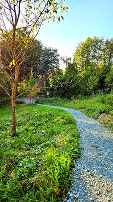 Wildnisgarten Menzloh