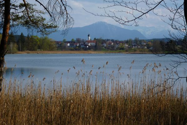 Vom Nordufer des Fohnsees bietet sich ein herrlicher Blick auf Iffeldorf.