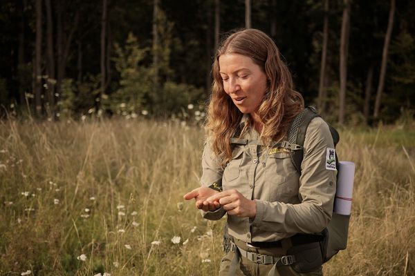 Rangerin Katja Winter erklärt, wie Blütenvielfalt durch Beweidung gefördert werden kann.