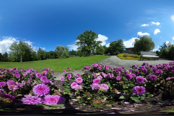 Blumenbeete im Kurpark Bad Bevensen