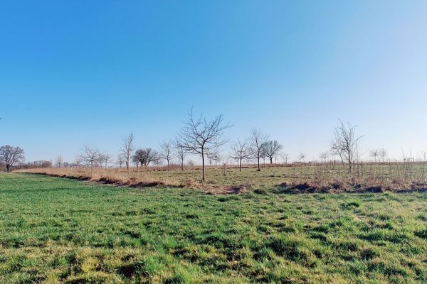 Am Ortsausgang von Haaßel in Richtung Groß Thondorf liegt eine neu angelegte Streuobstwiese mit jungen Obstbäumen. Die Fläche wird von Windkraftanlagen überragt und liegt eingebettet in eine weite Kulturlandschaft. Das Zusammenspiel von Naturpflege und erneuerbarer Energie verleiht dem Ort eine besondere Aussagekraft.