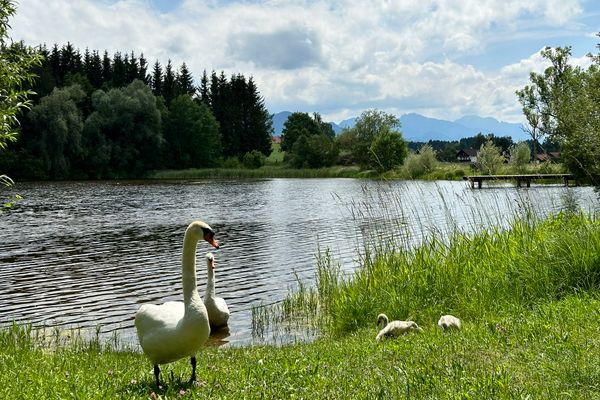 Badesee Bismarckweiher in Steingaden