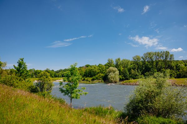 Isarrenaturierung bei Staustufe Landau a.d.Isar