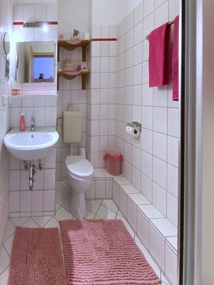 Bad mit Waschbecken, WC, Spiegel, Wandregalen und rosa Handtuch sowie Teppich