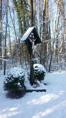 Winterwandern im Bernrieder Park