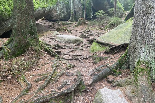 Wanderwege