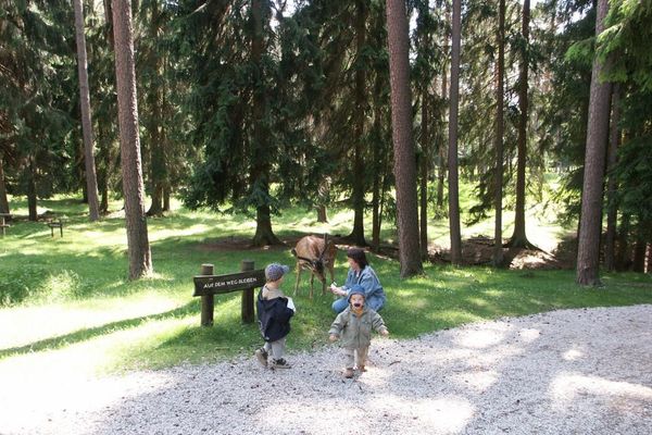 Wildpark
