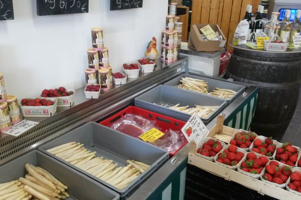 Spargel
