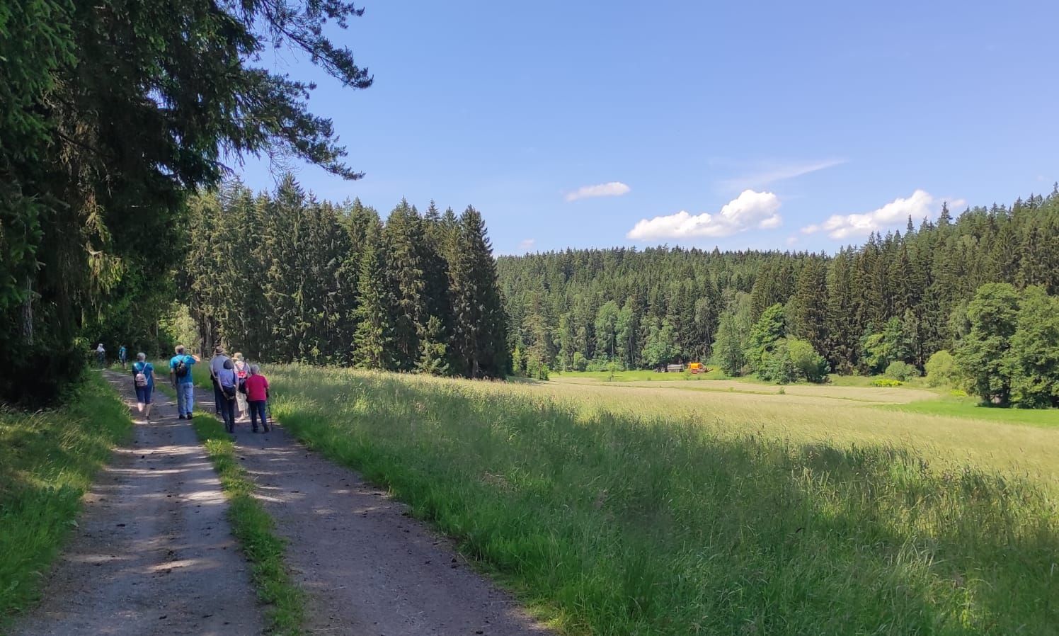 Dienstagswandern mit dem FGV Niederlamitz