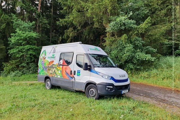 Bild des Datensatzes Sommerferienprogramm:  Waldmobil