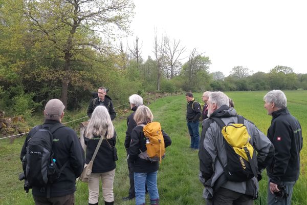 Naturparkführer erhalten Einblicke in besonderes Beweidungsprojekt