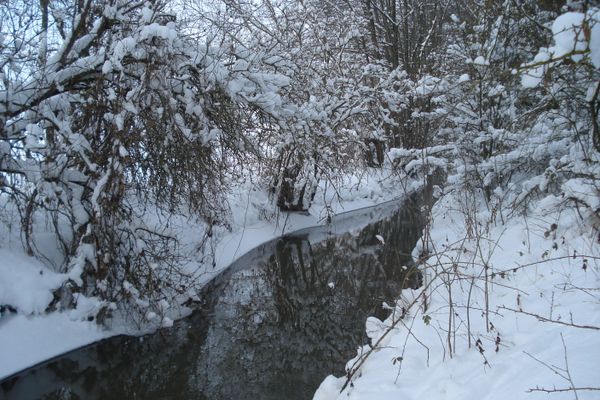 Bachlauf im Winter