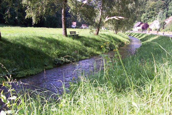 Bachlauf Hirschbach